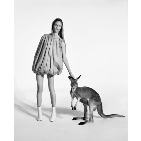 Kangaroo - Jonathan Glynn Smith