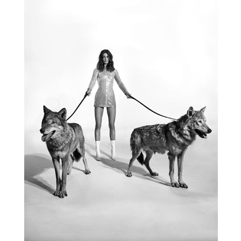 Wolves - Jonathan Glynn Smith