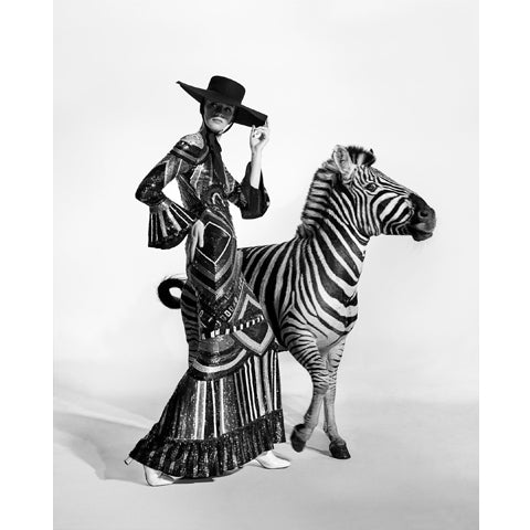 Zebra - Jonathan Glynn Smith
